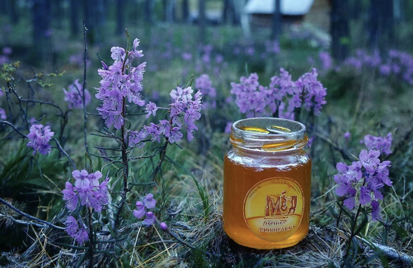 Мёд из Приангарья — чем уникален? Особенности иркутского разнотравья