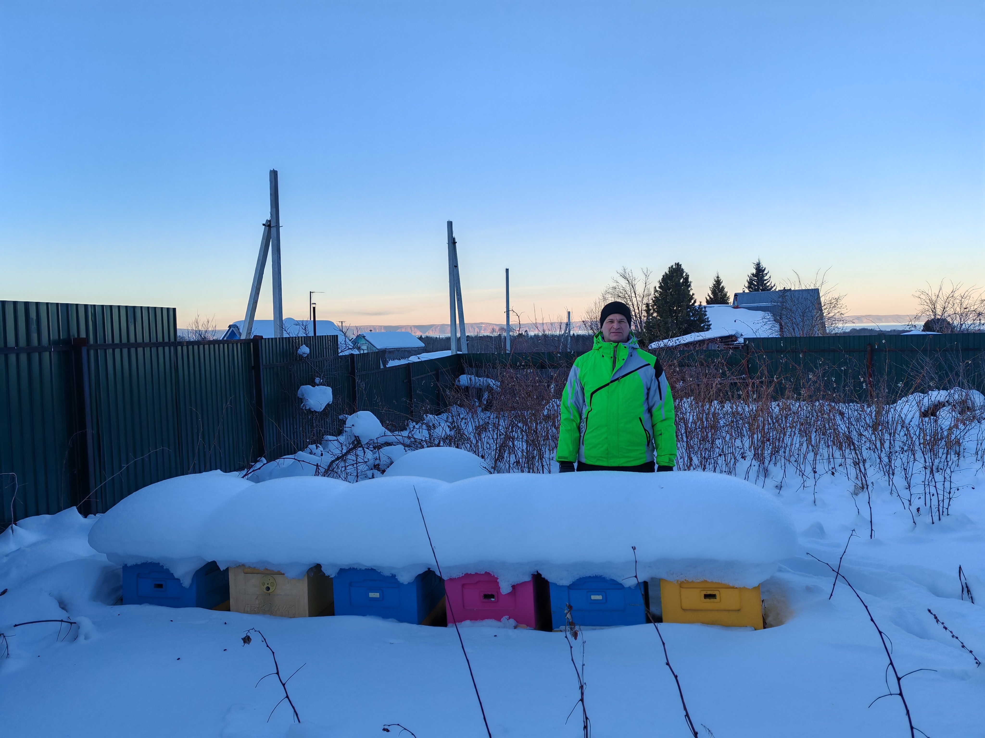 Фото пасеки