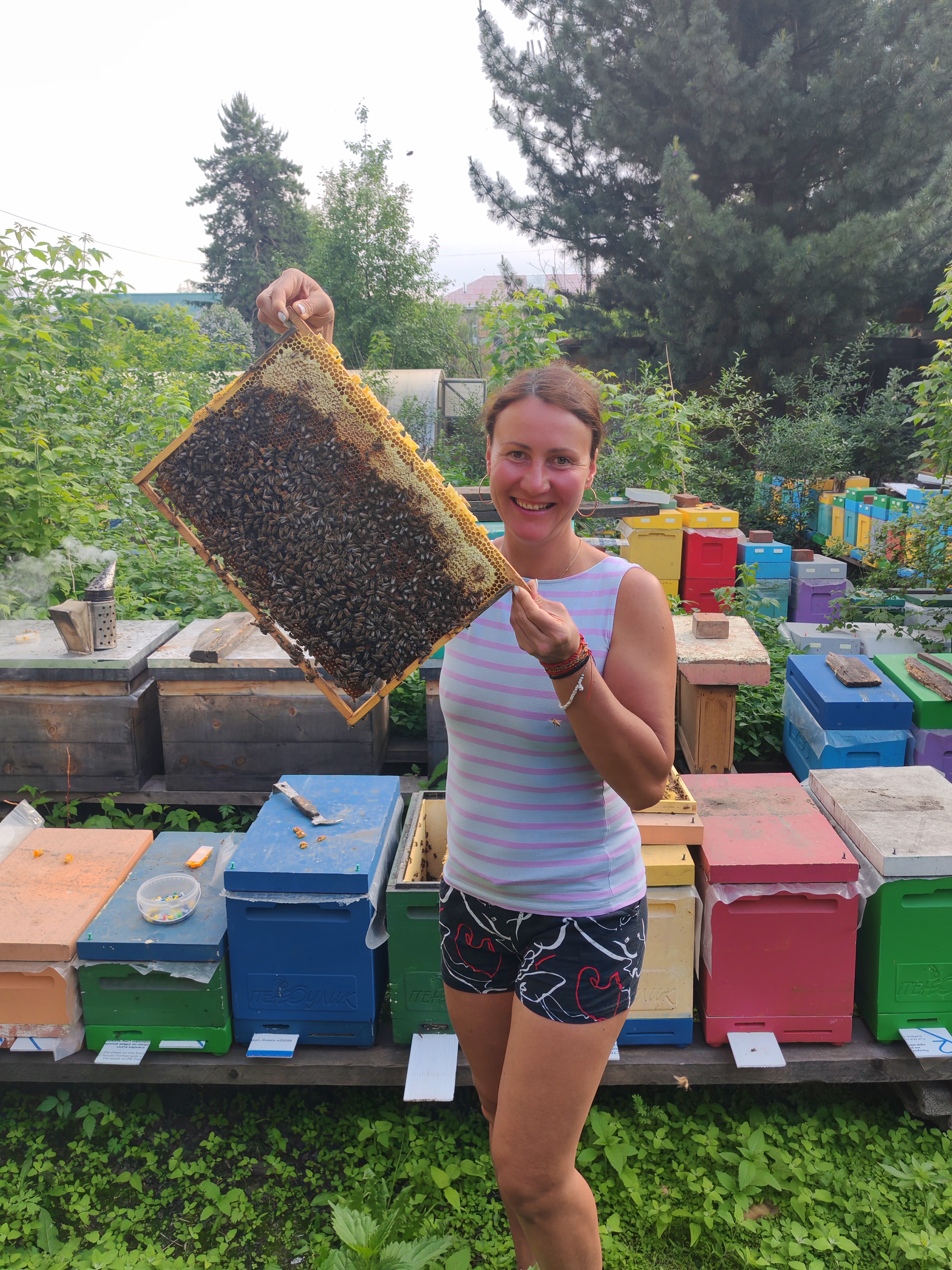 Фото пасеки