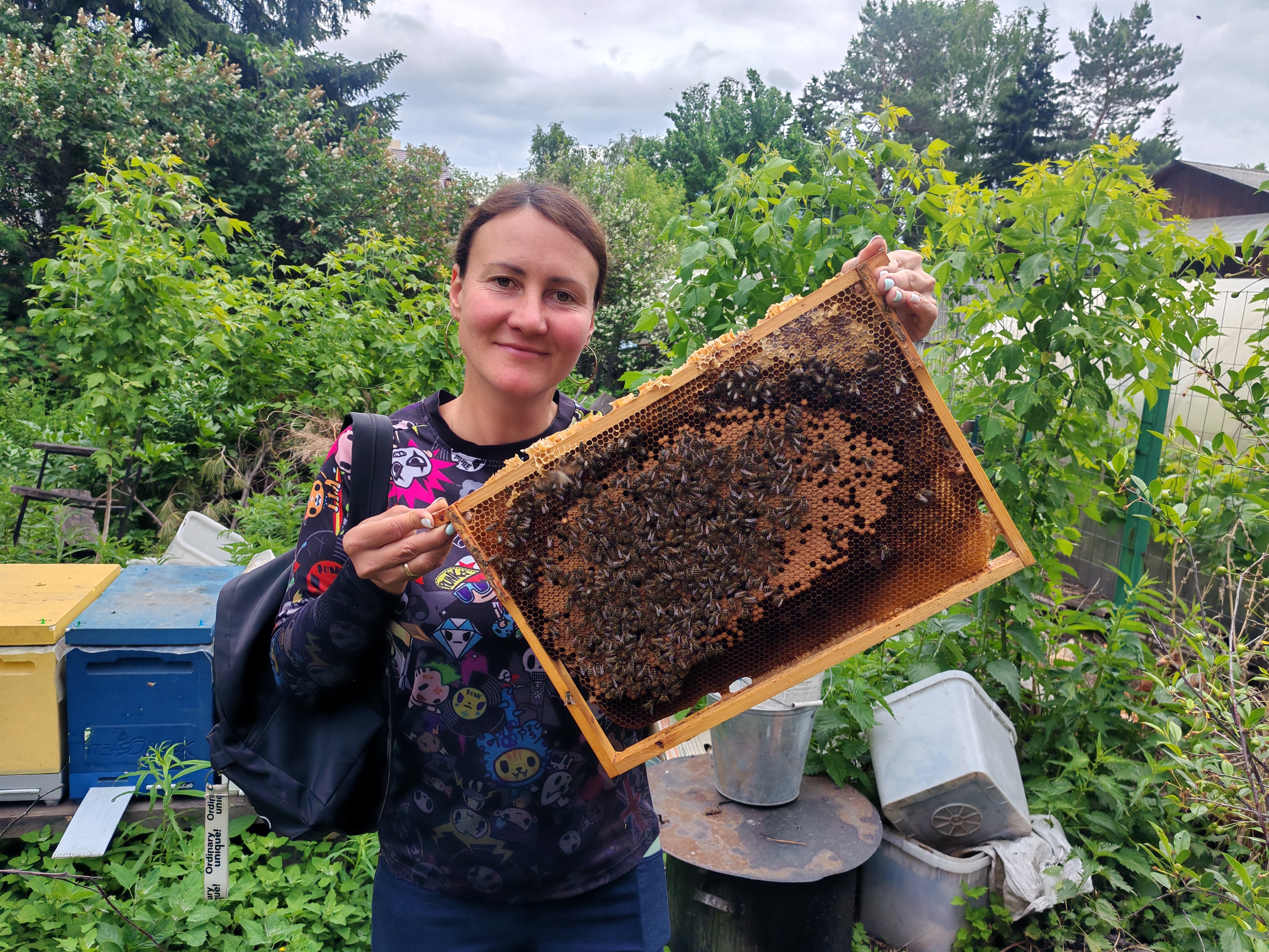 Фото пасеки