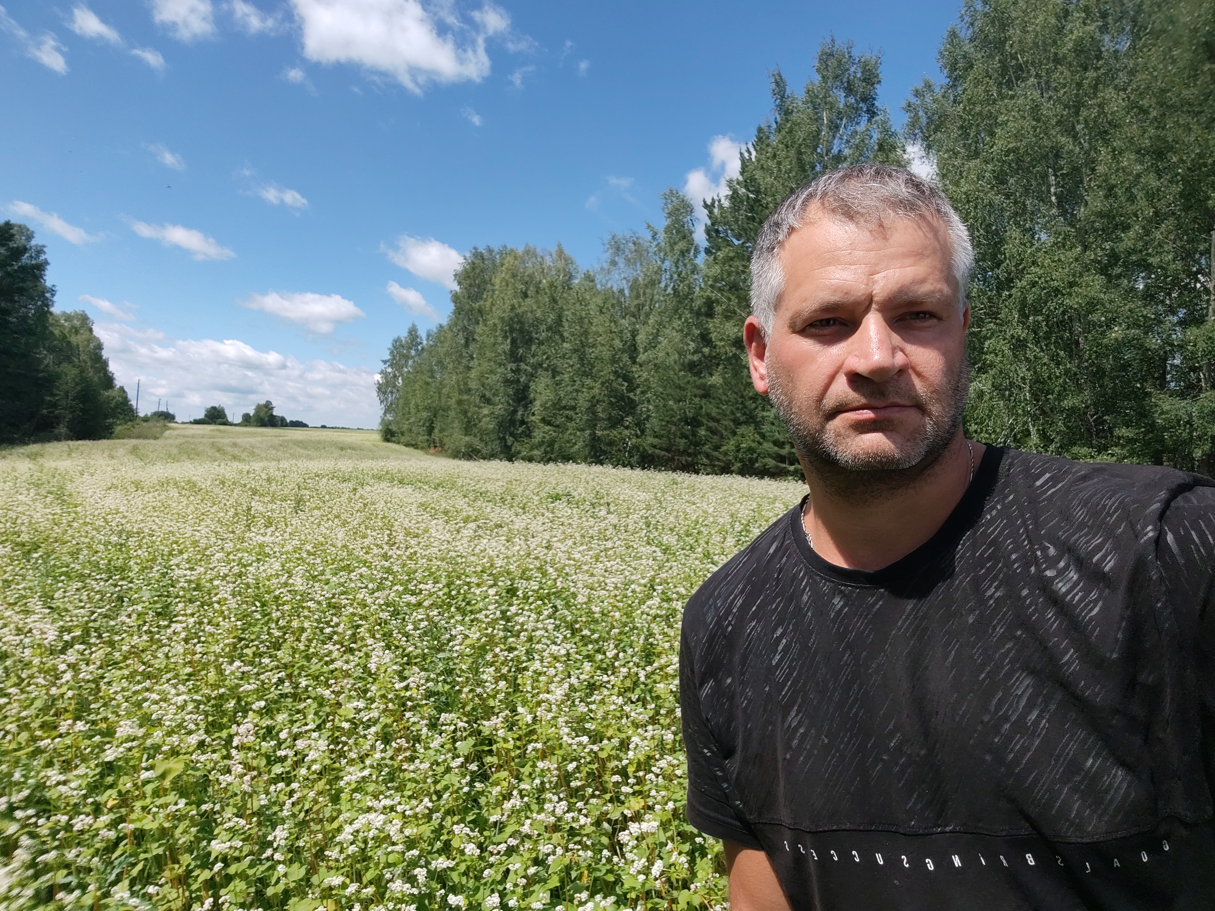 Фото пасеки