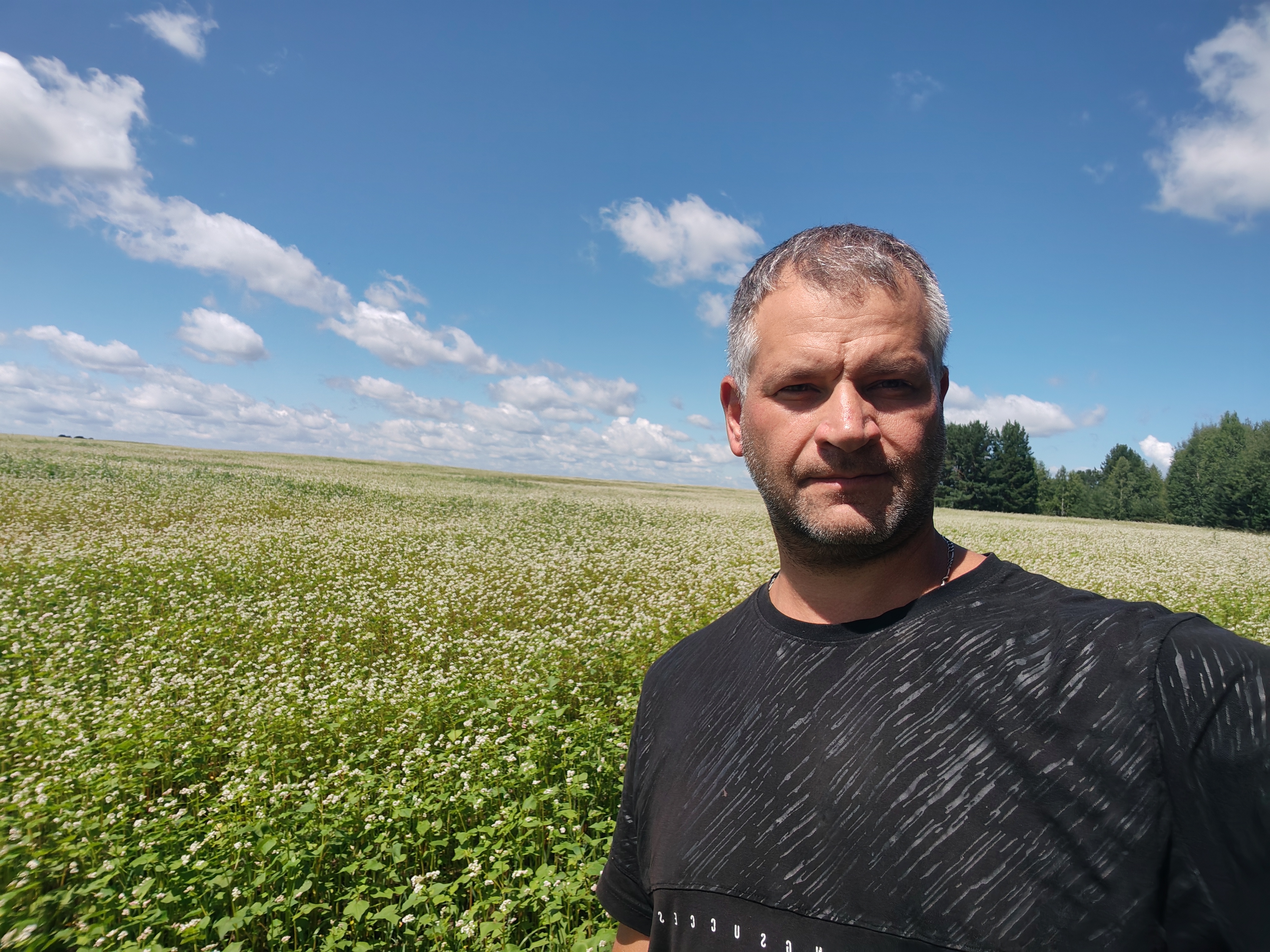 Фото пасеки