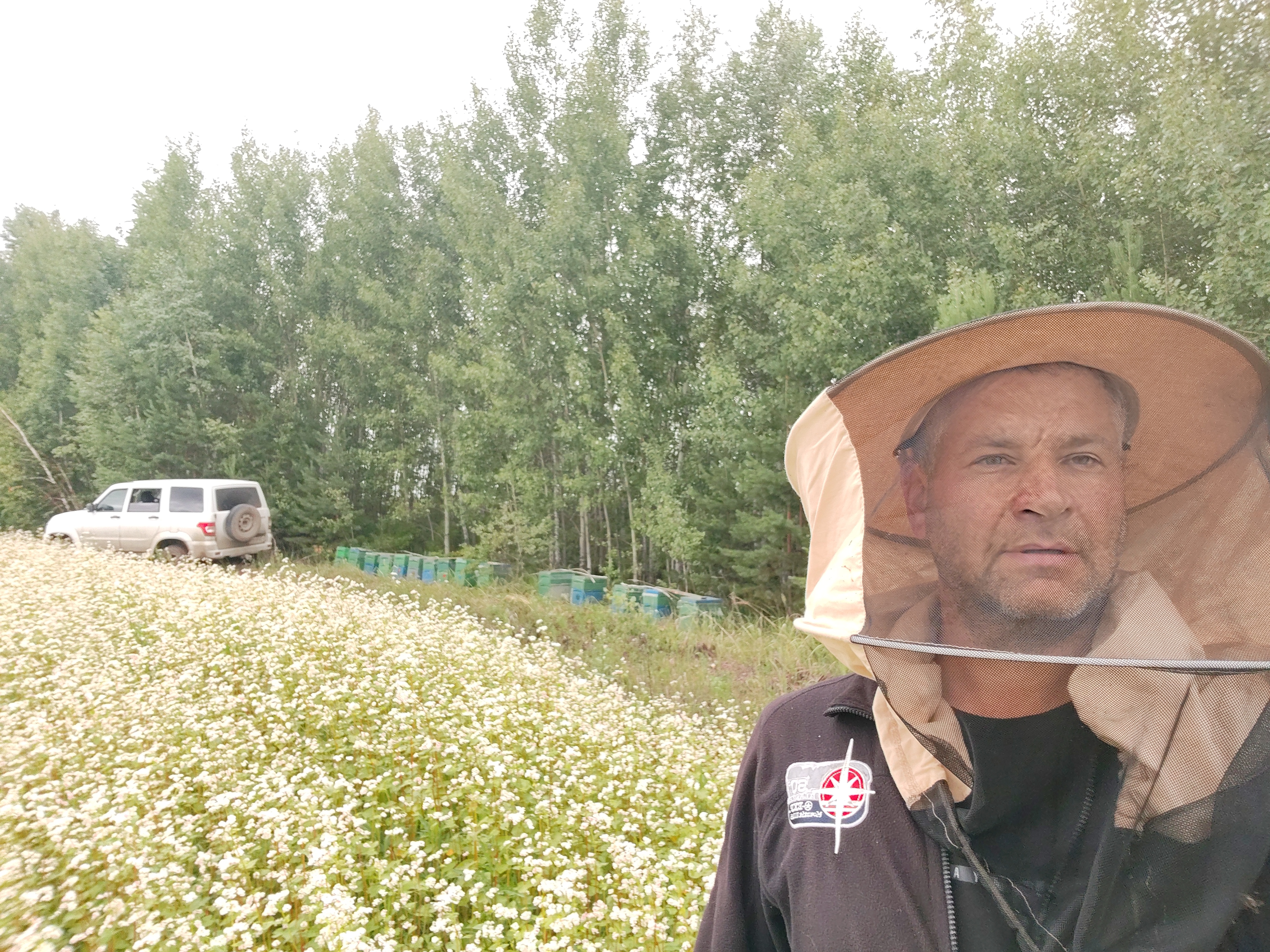 Фото пасеки