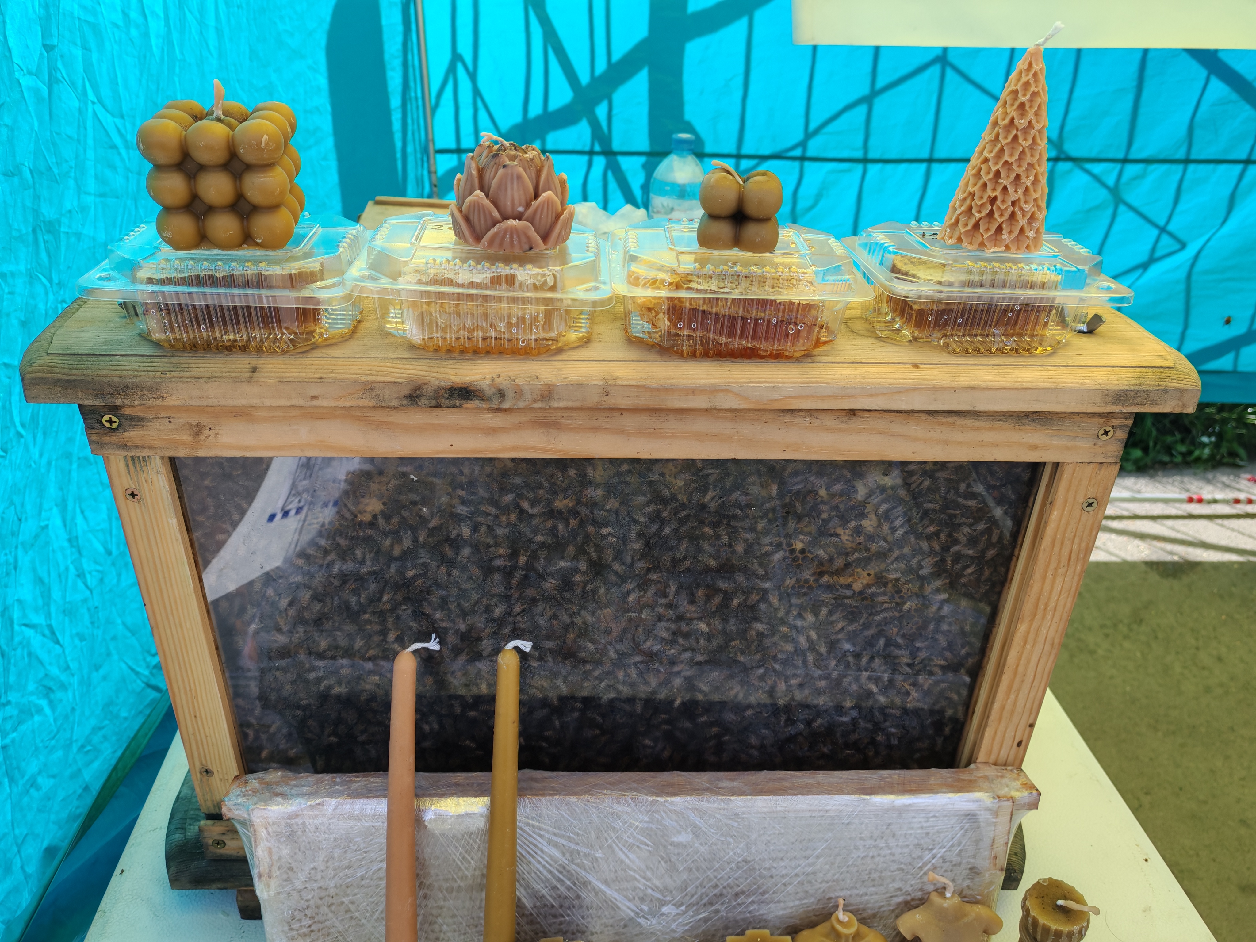 Фото пасеки