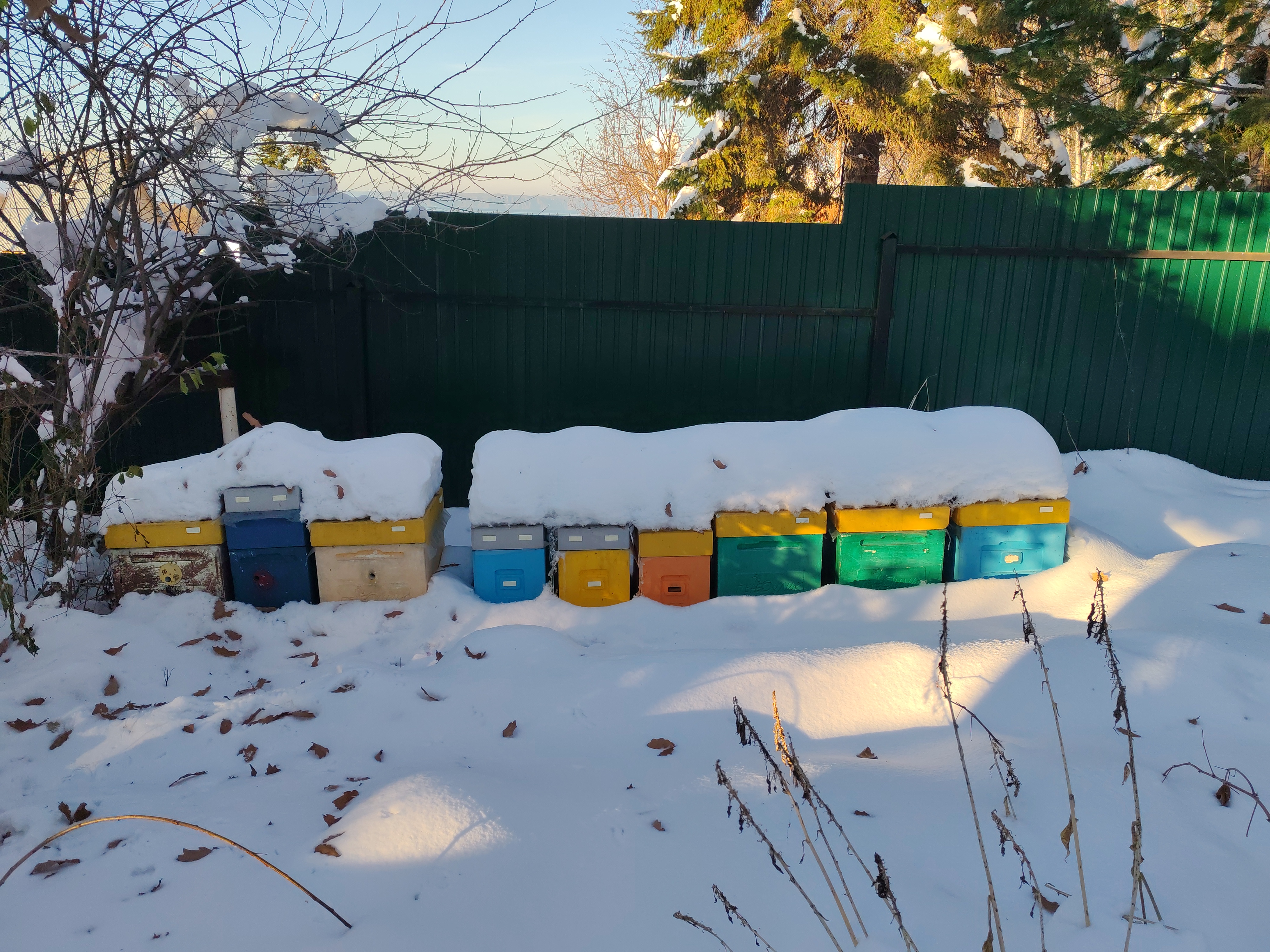 Фото пасеки