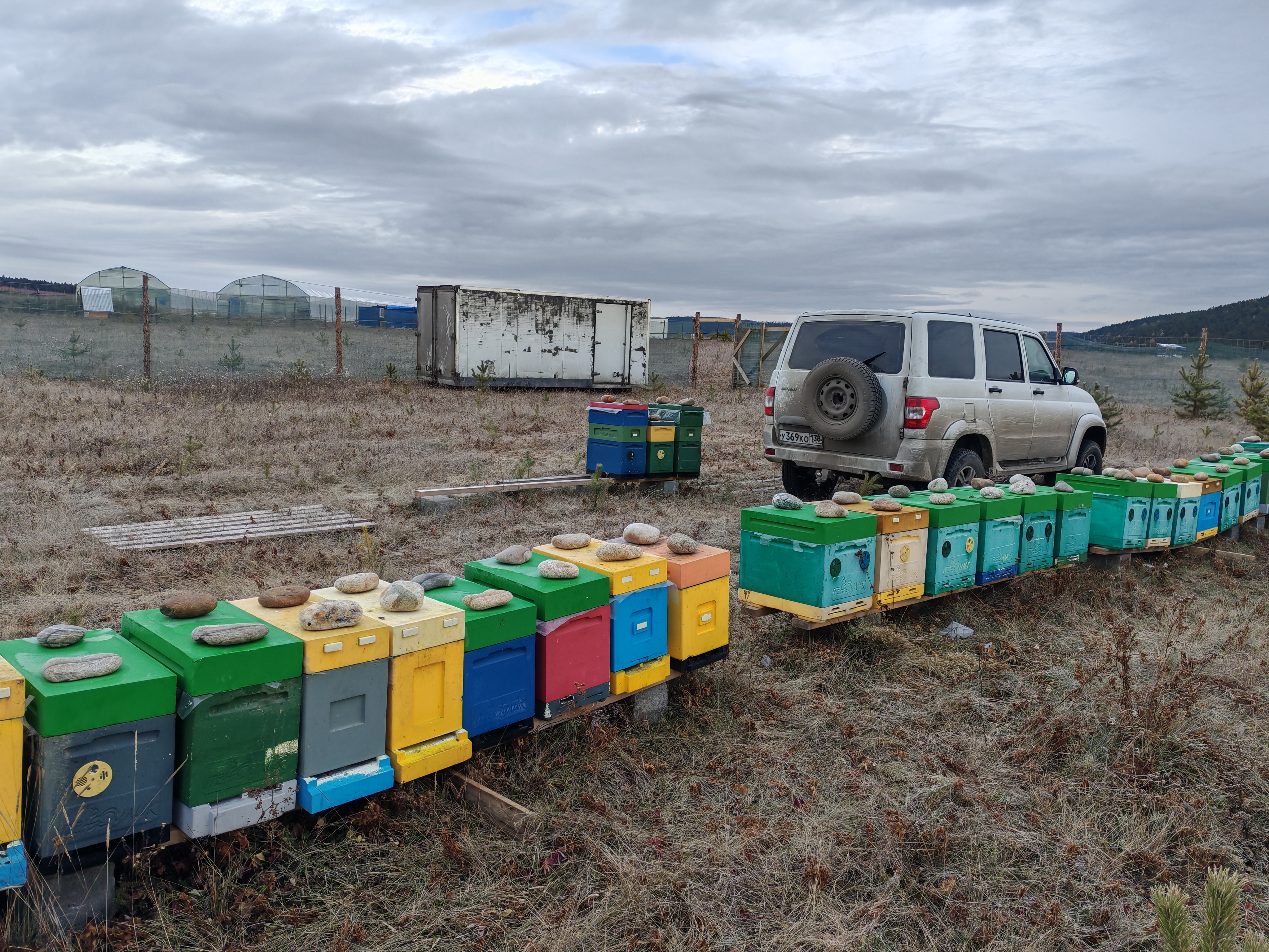 Фото пасеки