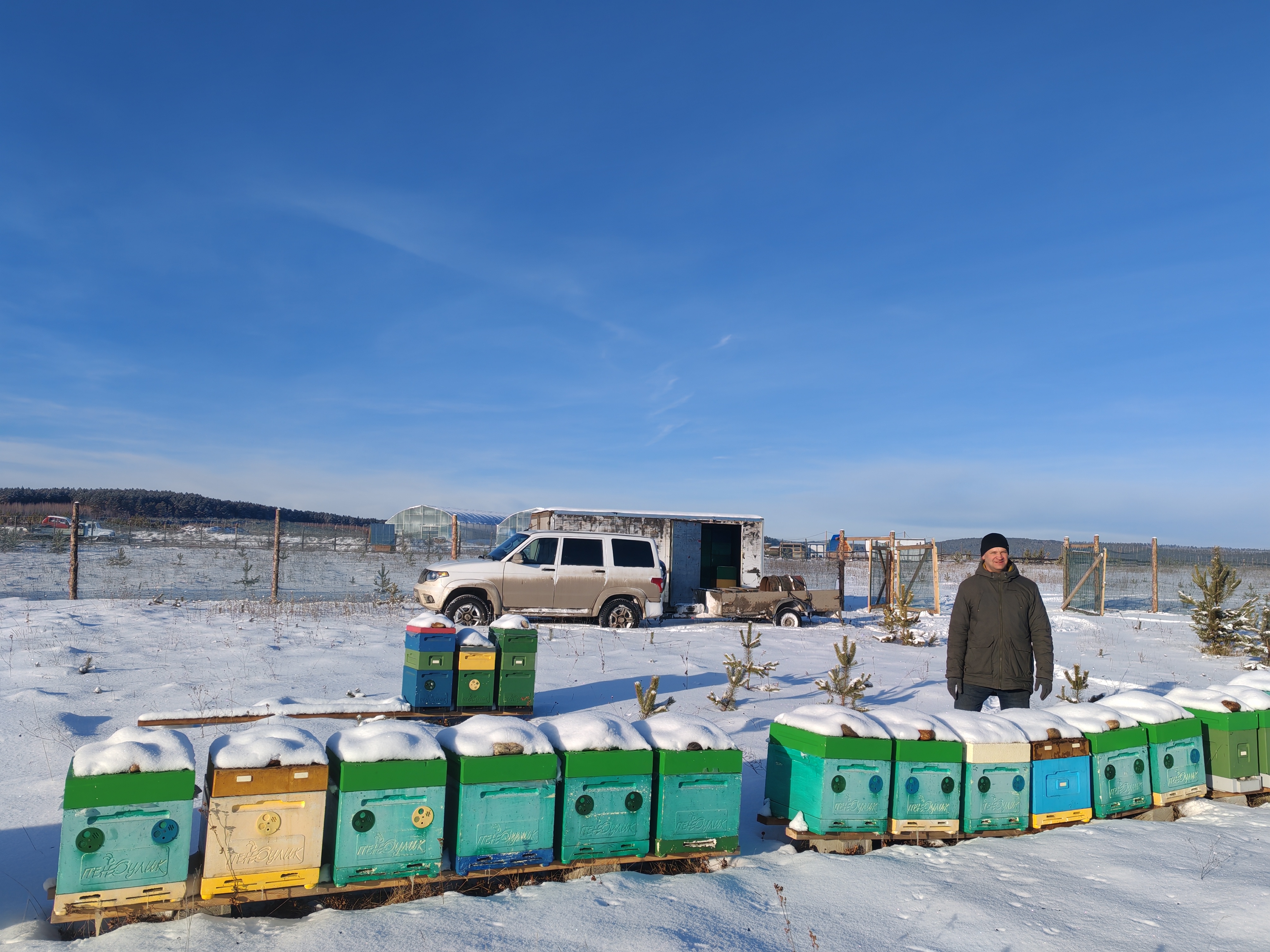 Фото пасеки