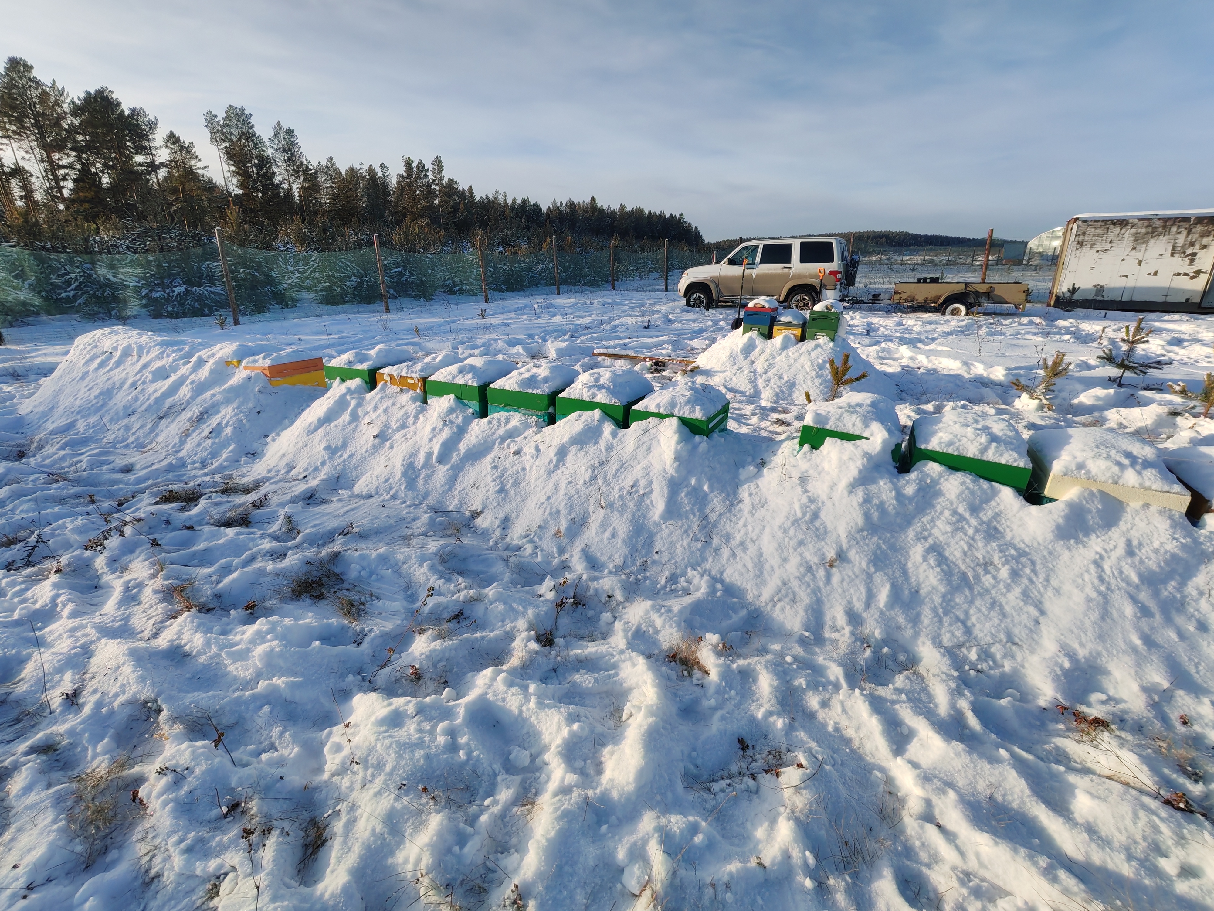 Фото пасеки