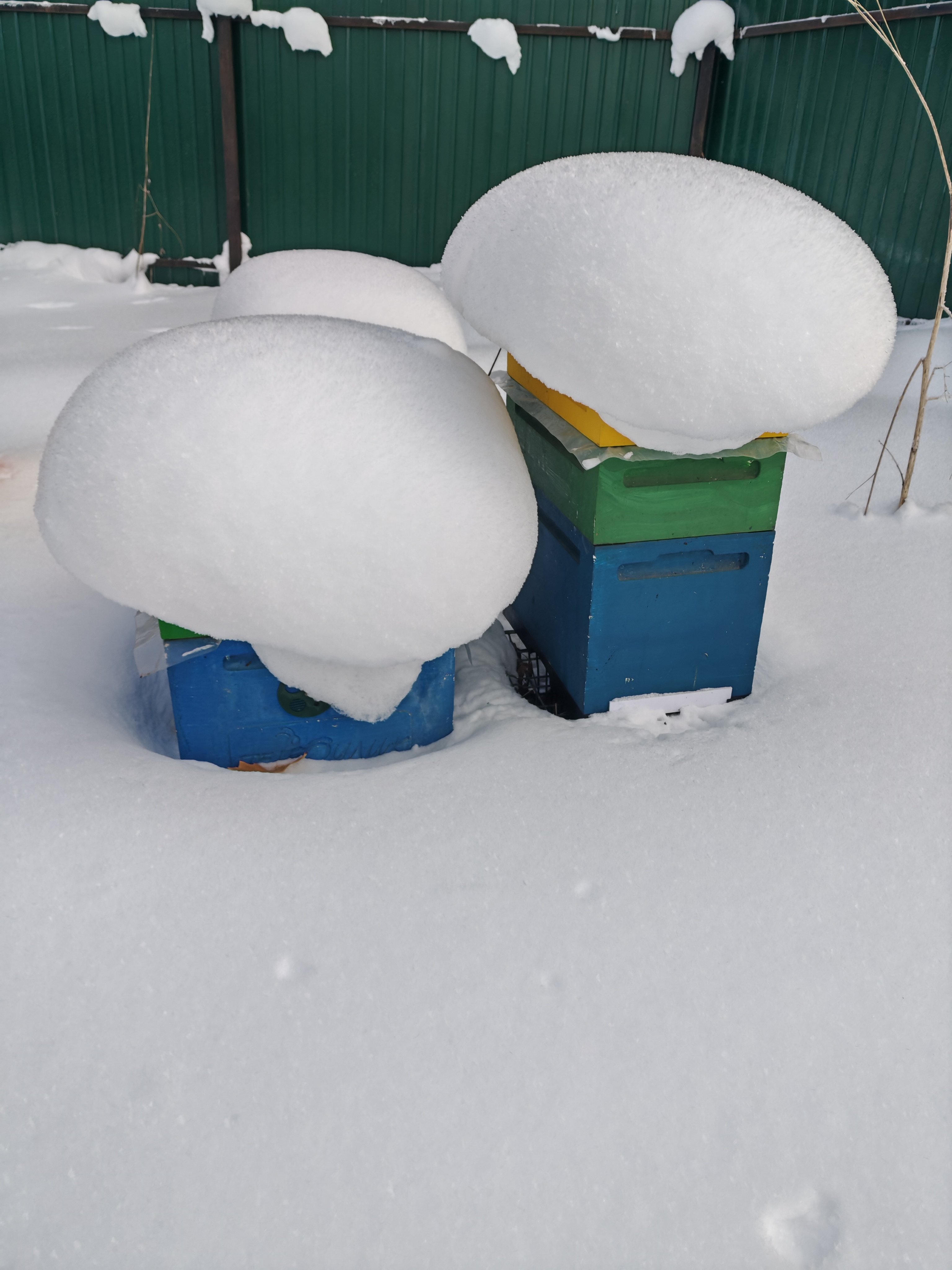 Фото пасеки